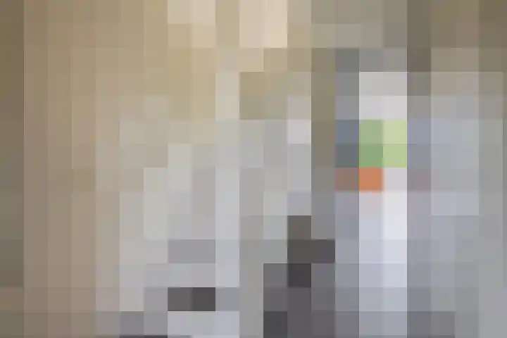 Leeuwerik 4 Lemmer thumbnail 7