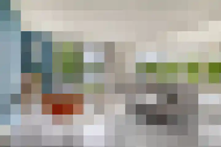 Leeuwerik 4 Lemmer thumbnail 8