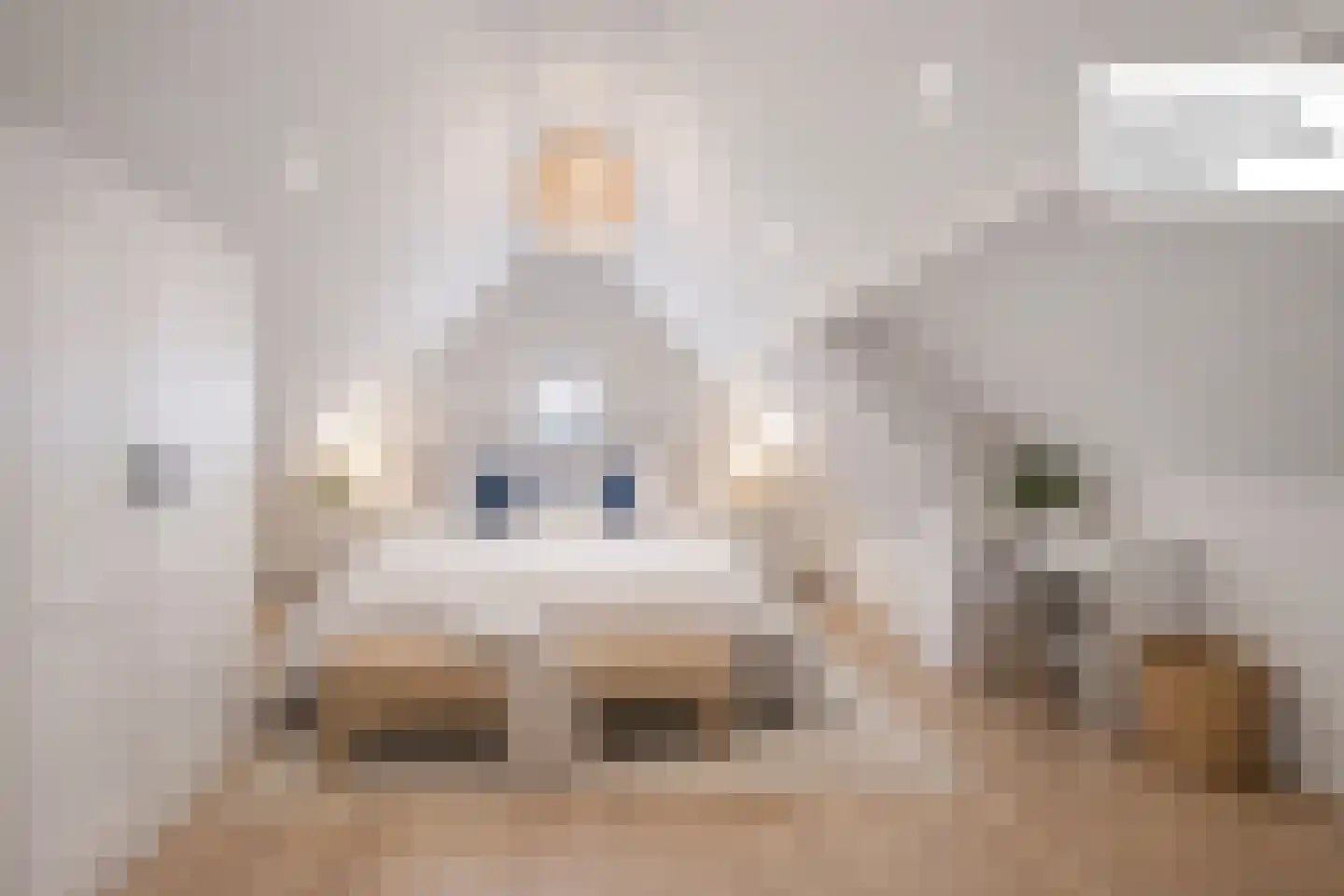 Leeuwerik 44 Veenendaal thumbnail 20