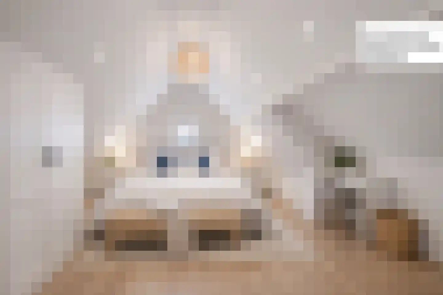 Leeuwerik 44 Veenendaal thumbnail 20