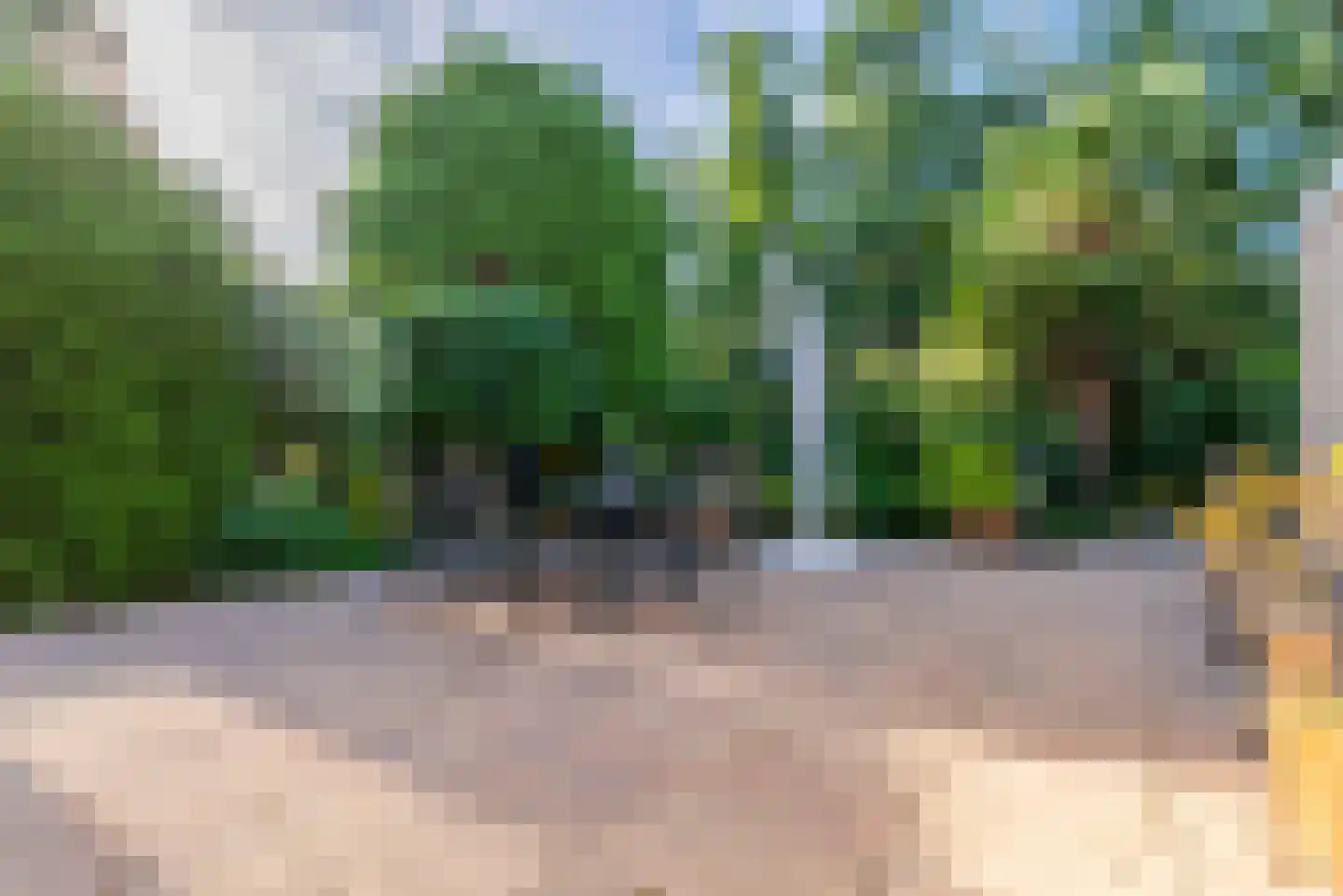 Leeuwerik 44 Veenendaal thumbnail 25