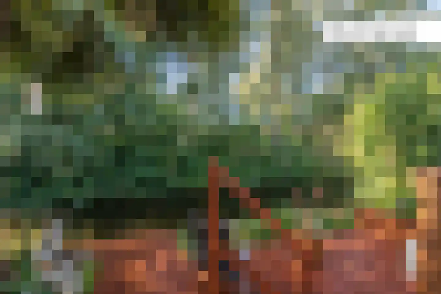 Leeuwerik 44 Veenendaal thumbnail 27
