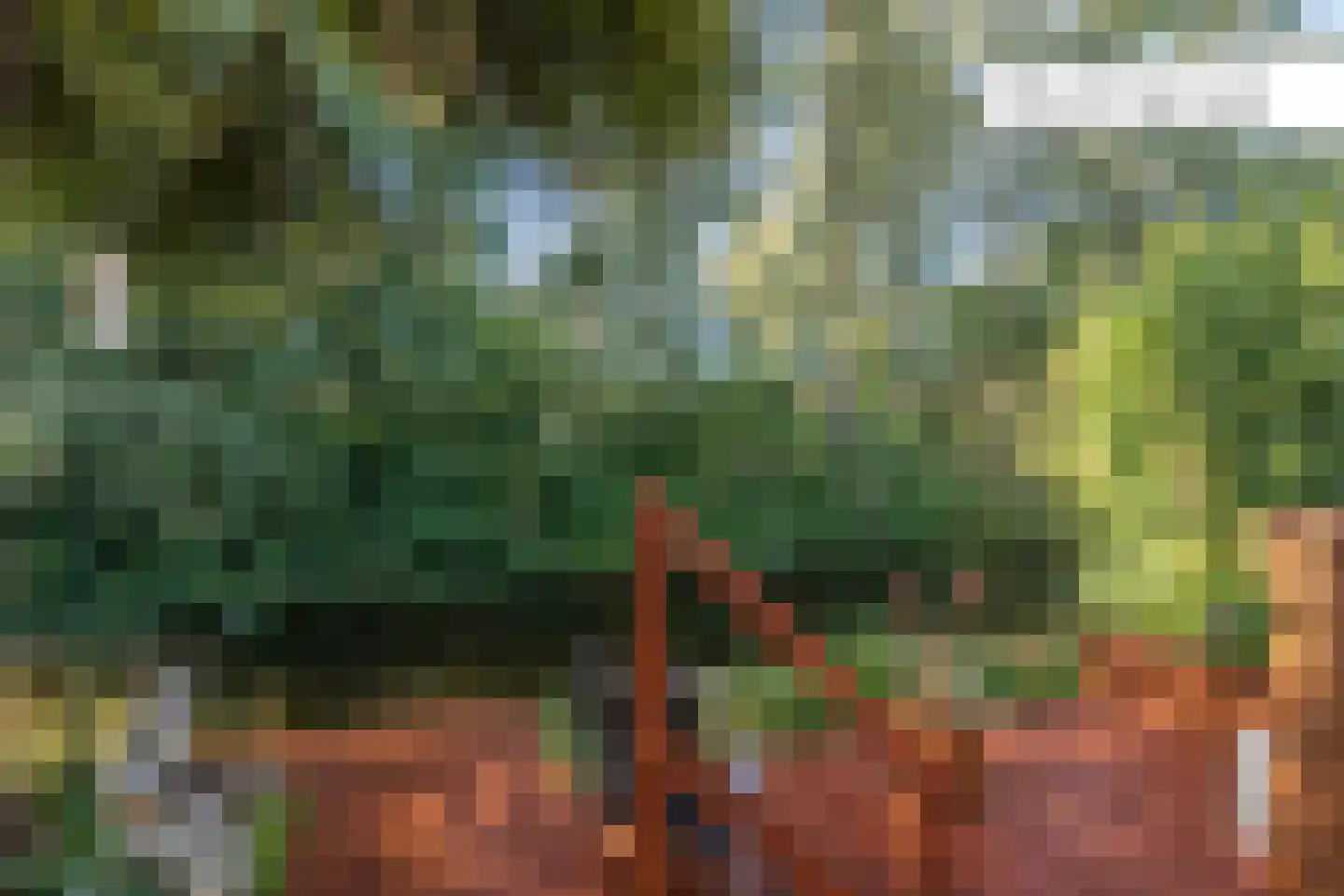 Leeuwerik 44 Veenendaal thumbnail 27