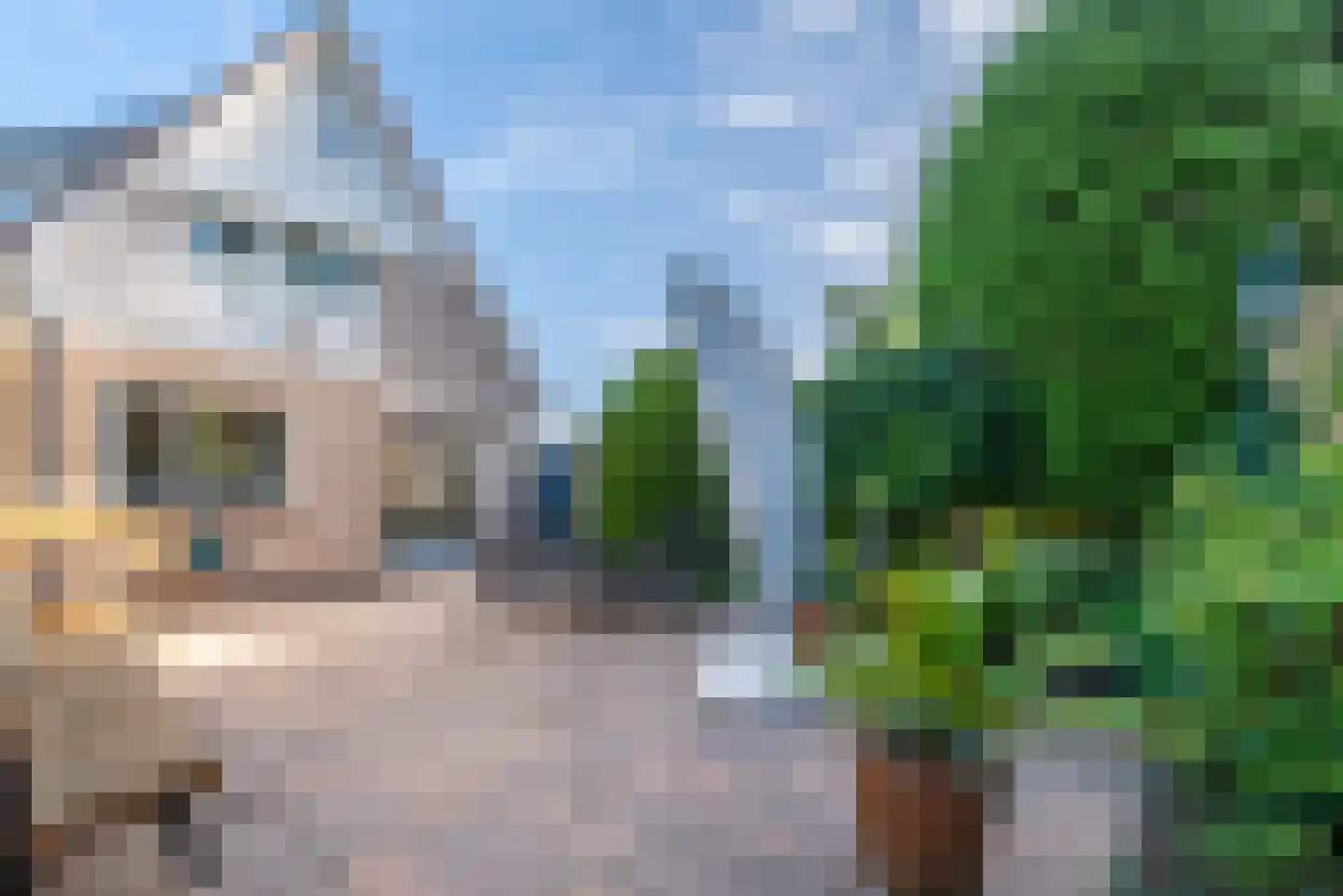 Leeuwerik 44 Veenendaal thumbnail 28