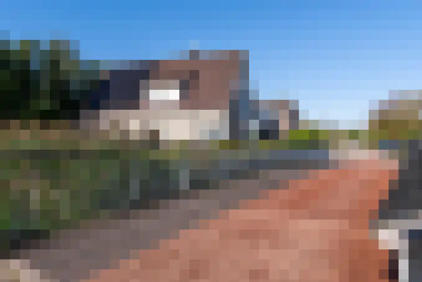 Leeuwerik 44 Veenendaal thumbnail 29