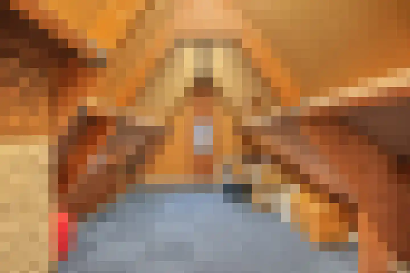 Leeuwerik 44 Veenendaal thumbnail 37