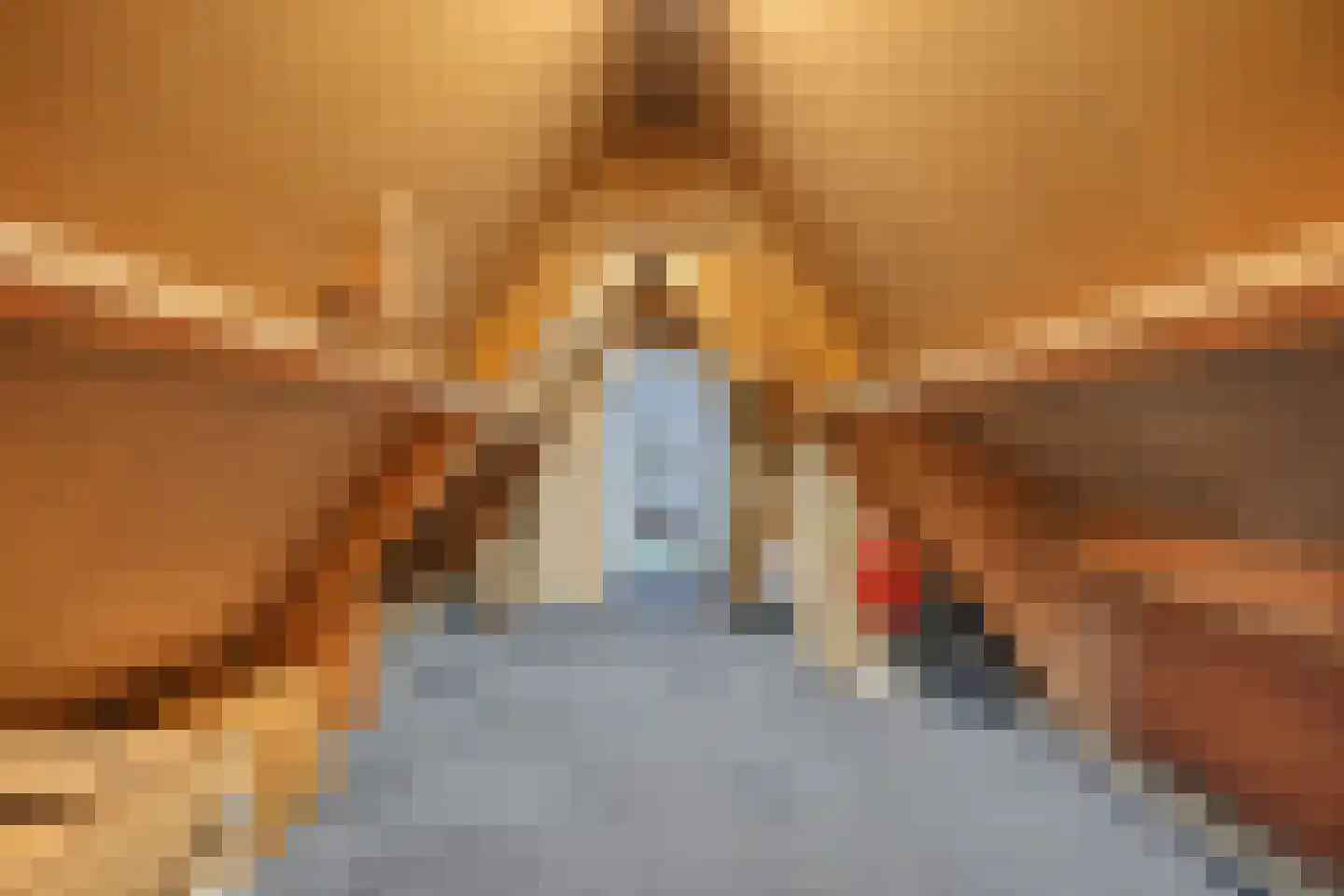 Leeuwerik 44 Veenendaal thumbnail 38