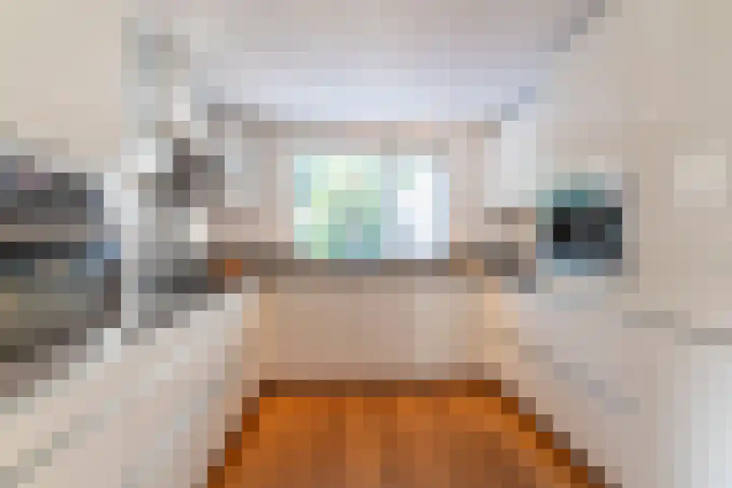 Leeuwerik 44 Veenendaal thumbnail 4