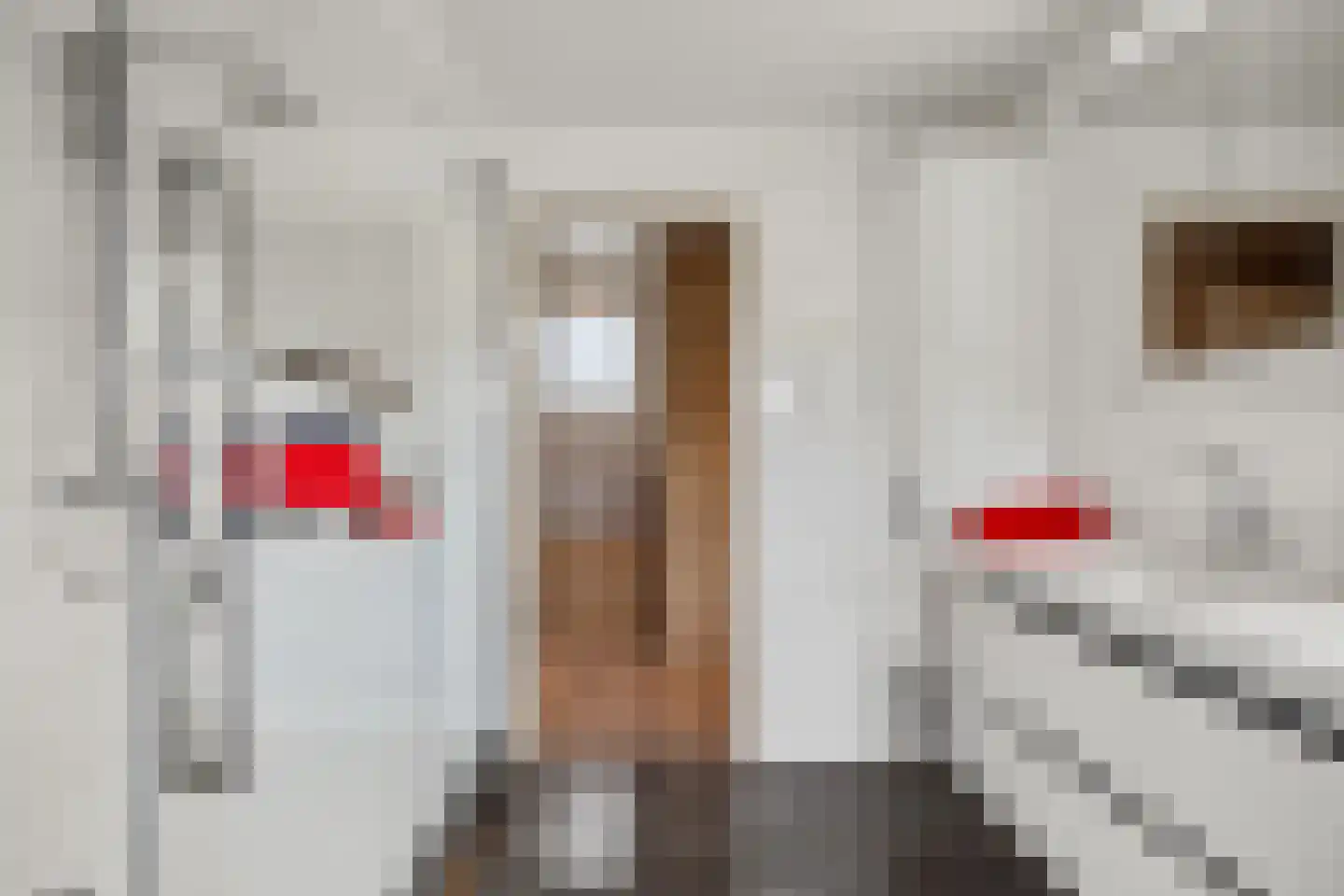 Leeuwerik 44 Veenendaal thumbnail 40