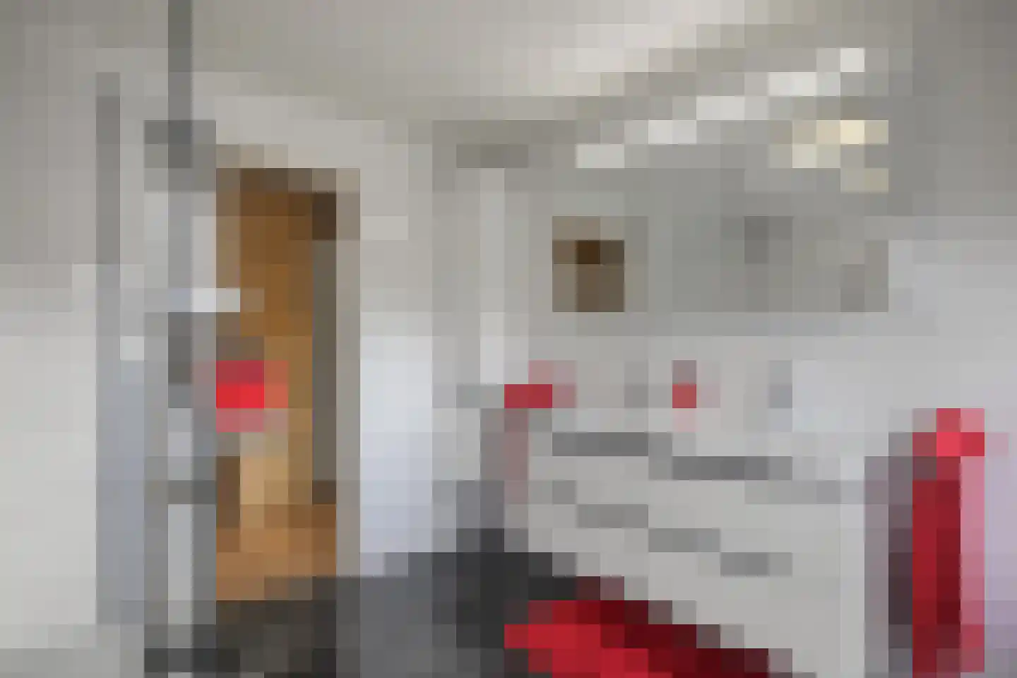 Leeuwerik 44 Veenendaal thumbnail 42
