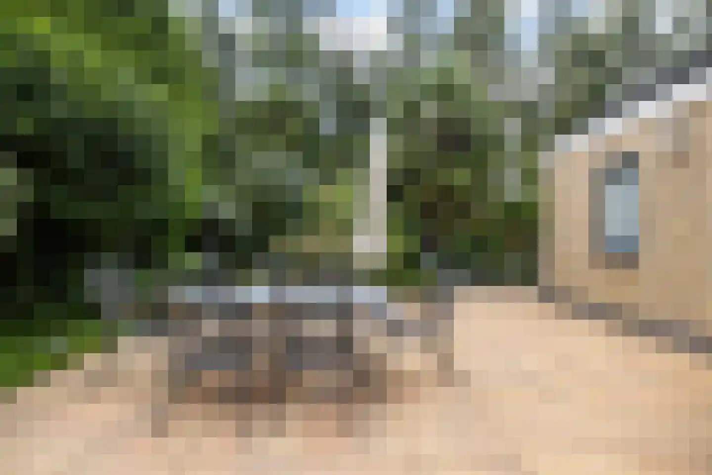 Leeuwerik 44 Veenendaal thumbnail 52