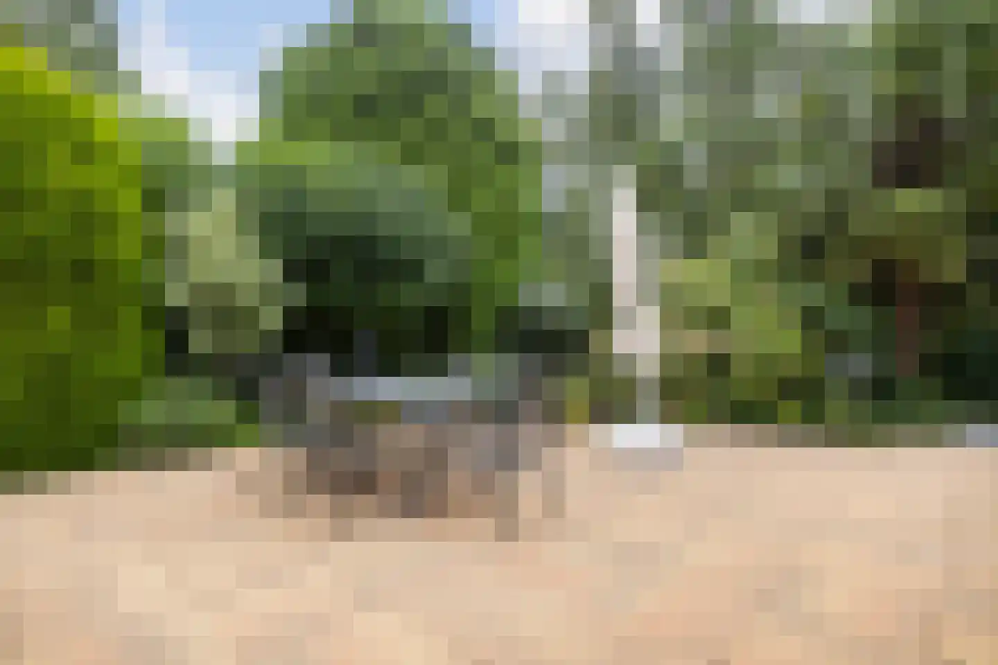 Leeuwerik 44 Veenendaal thumbnail 53