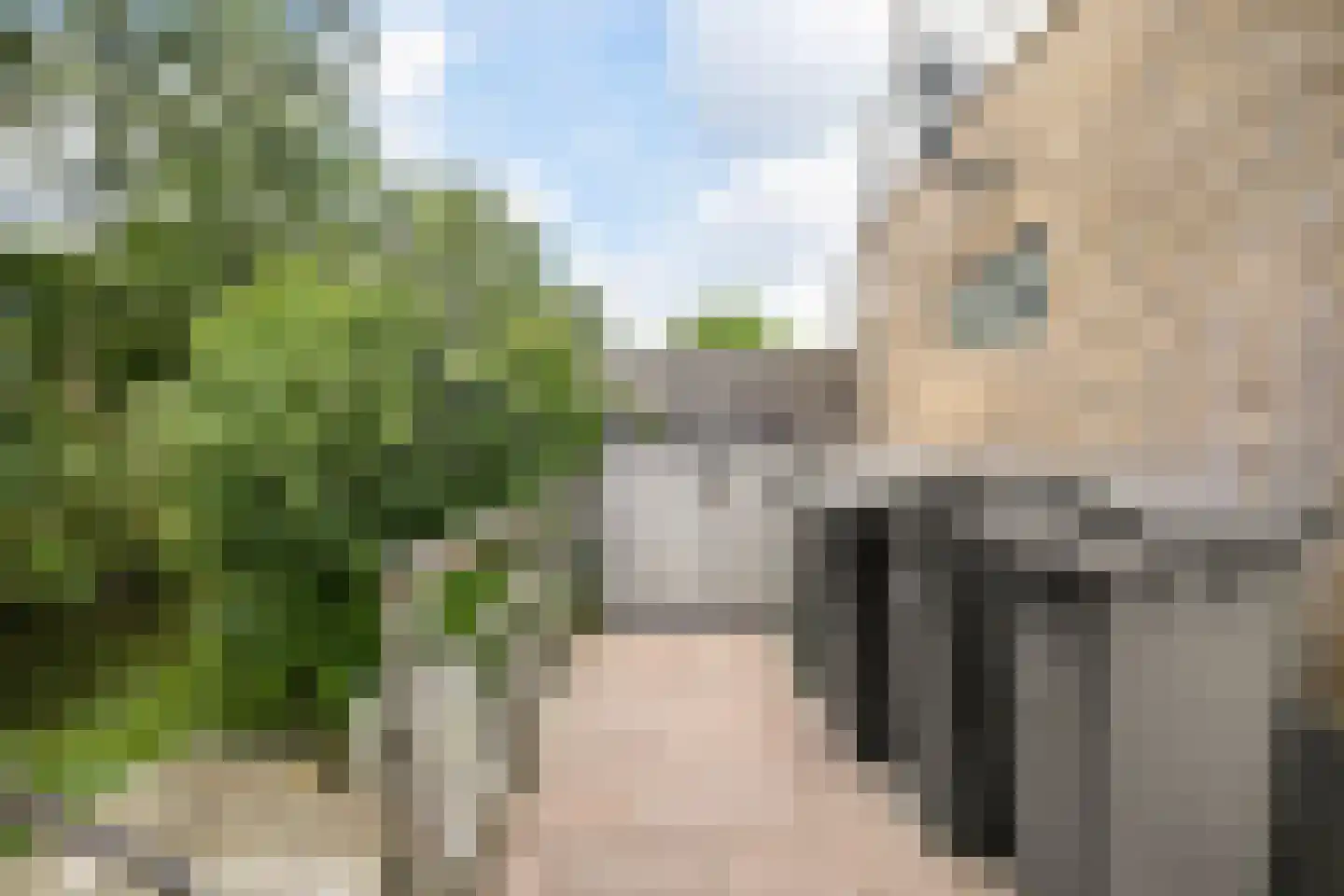 Leeuwerik 44 Veenendaal thumbnail 55