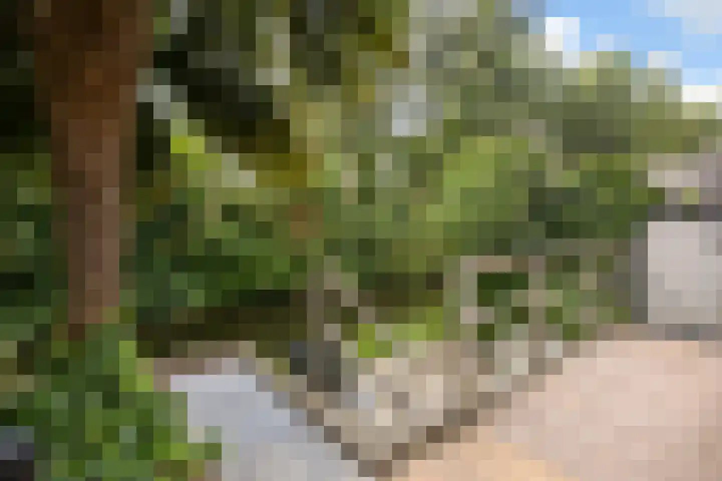 Leeuwerik 44 Veenendaal thumbnail 56