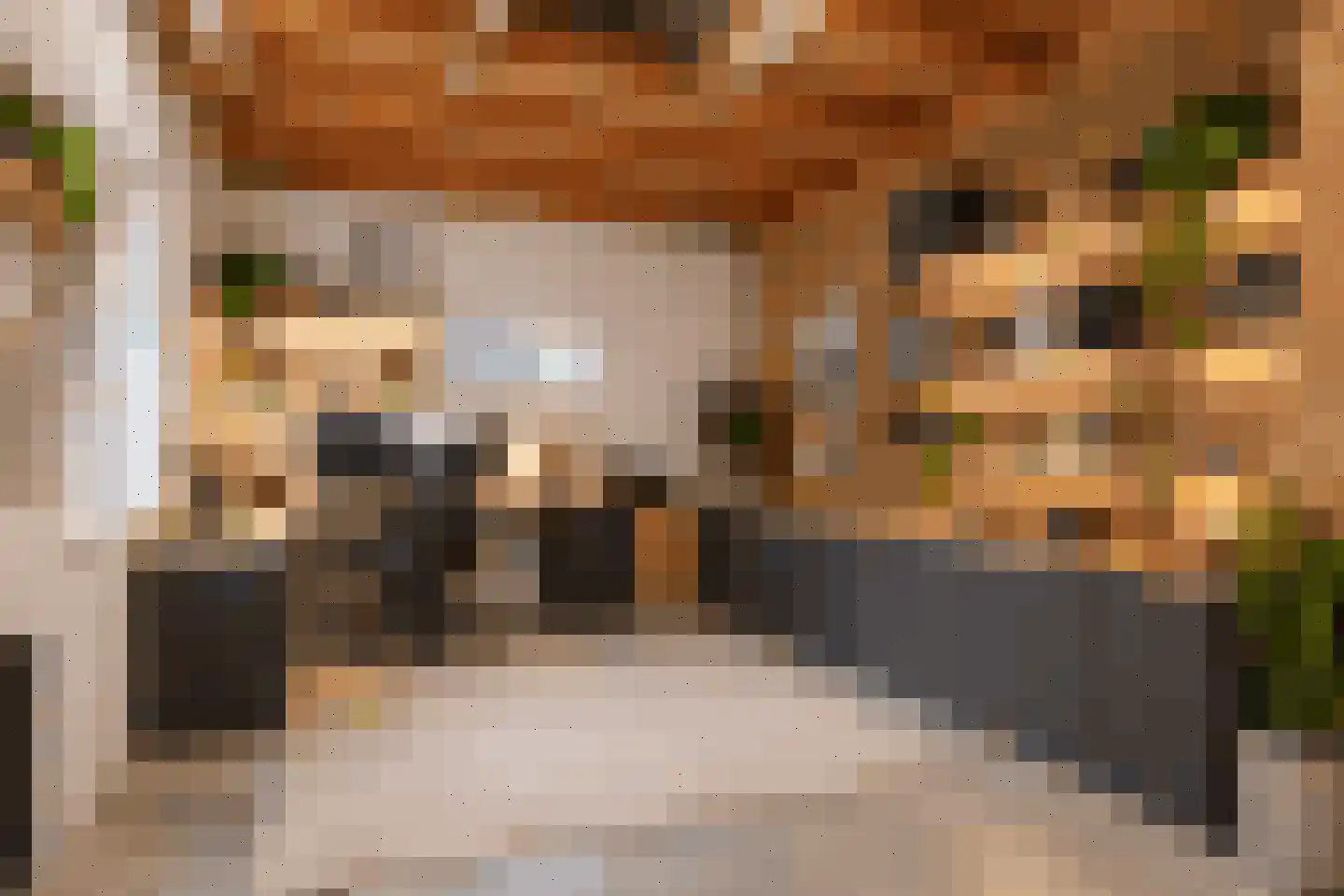 Leeuwerik 44 Veenendaal thumbnail 65