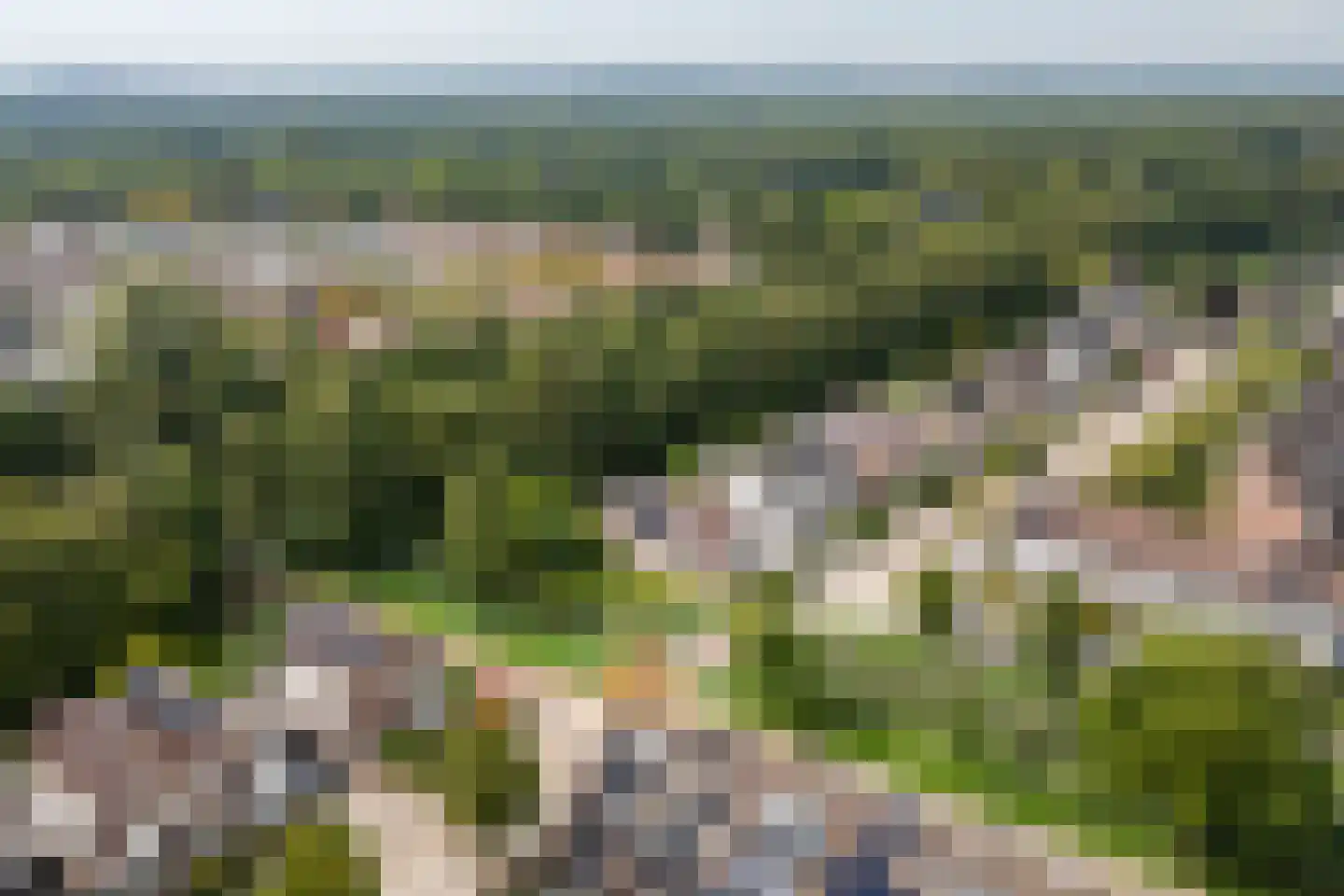 Leeuwerik 44 Veenendaal thumbnail 75