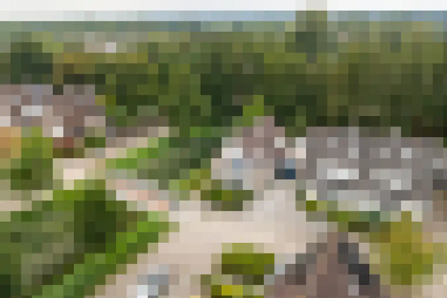 Leeuwerik 44 Veenendaal thumbnail 77