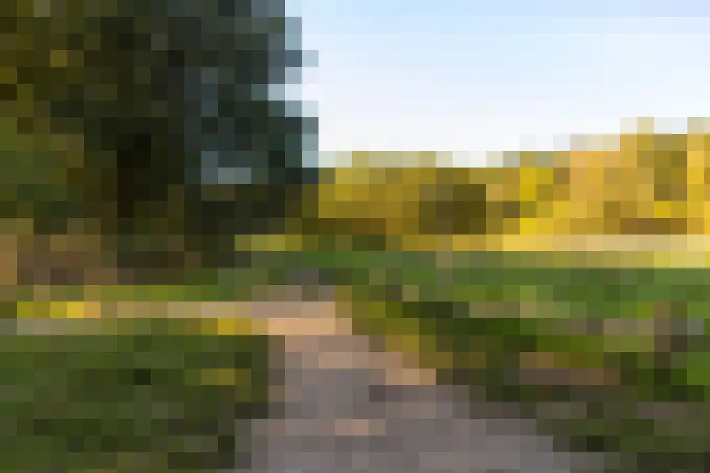 Leeuwerik 44 Veenendaal thumbnail 79