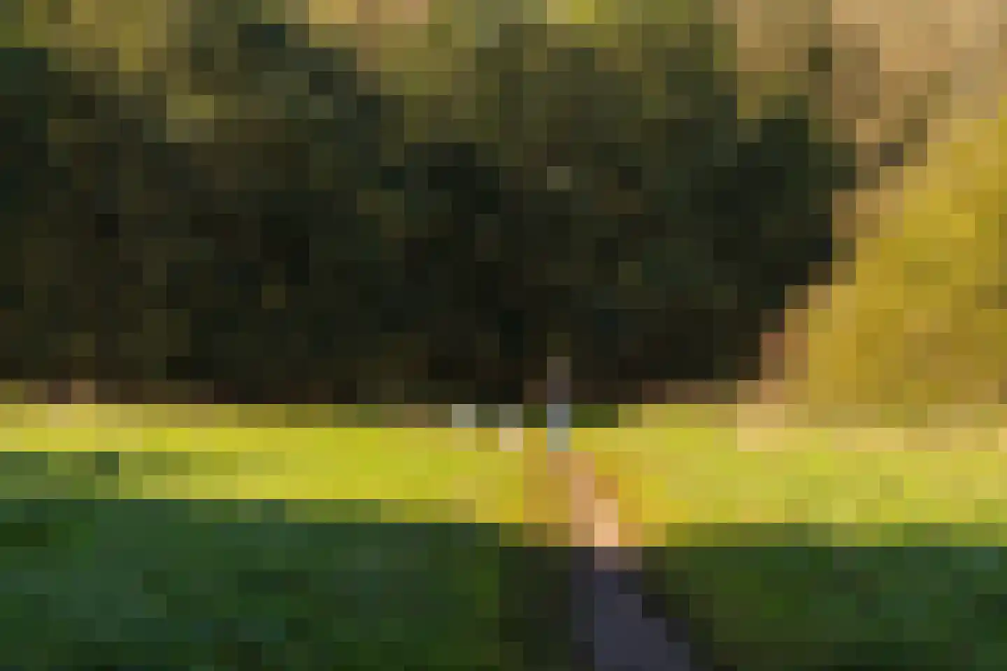 Leeuwerik 44 Veenendaal thumbnail 82