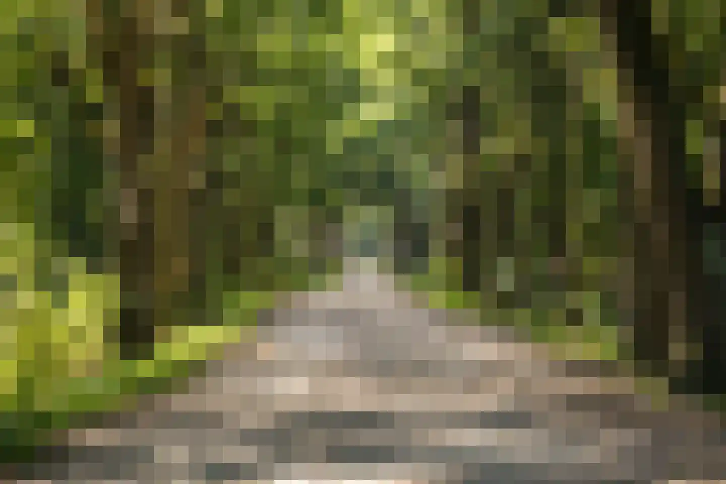Leeuwerik 44 Veenendaal thumbnail 83