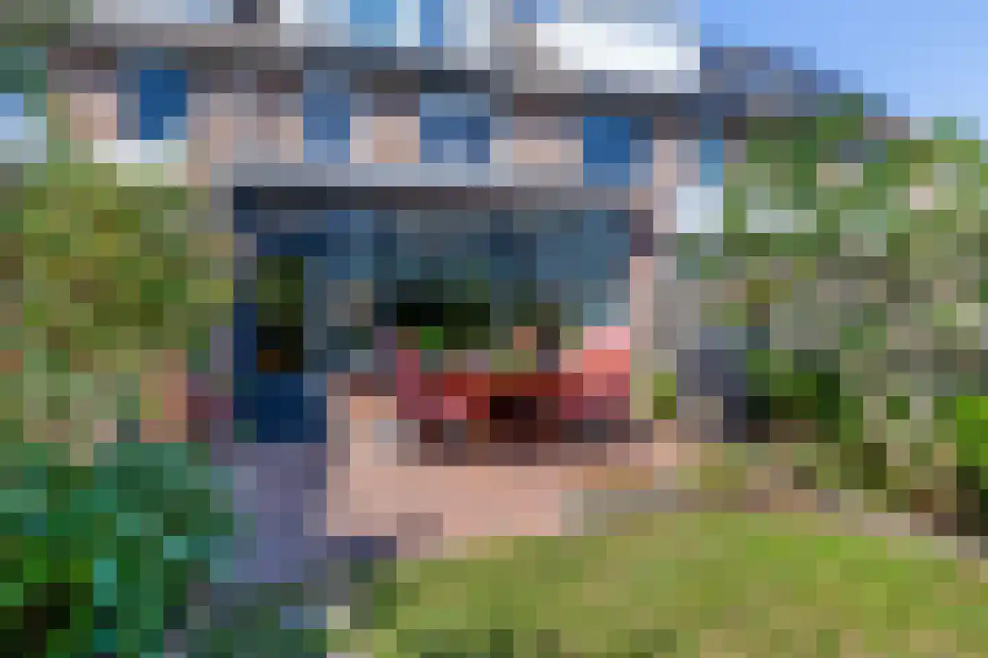 Leeuwerik 45 Berkel en Rodenrijs thumbnail 21