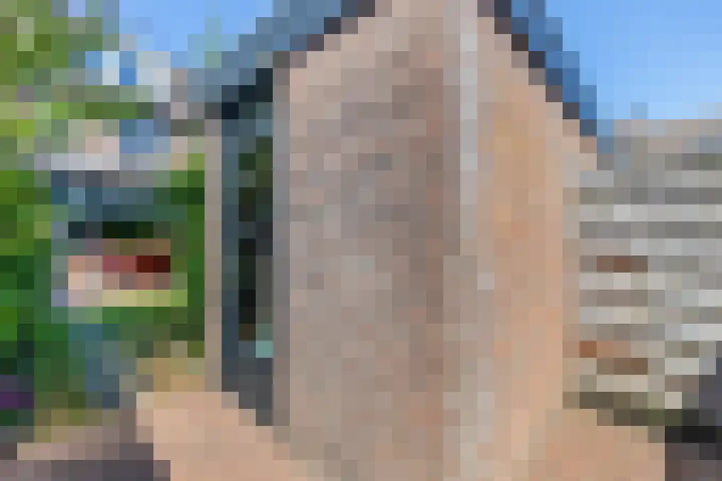 Leeuwerik 45 Berkel en Rodenrijs thumbnail 22