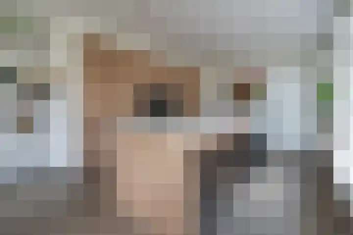 Leeuwerik 5 Meerkerk thumbnail 10