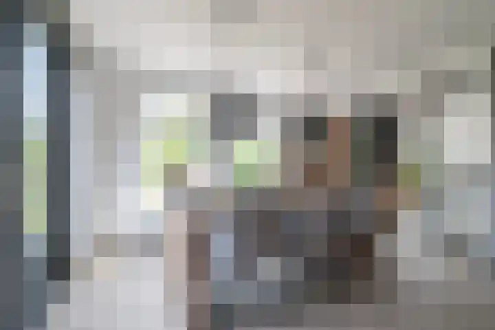 Leeuwerik 5 Meerkerk thumbnail 12