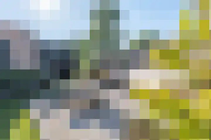 Leeuwerik 5 Meerkerk thumbnail 13