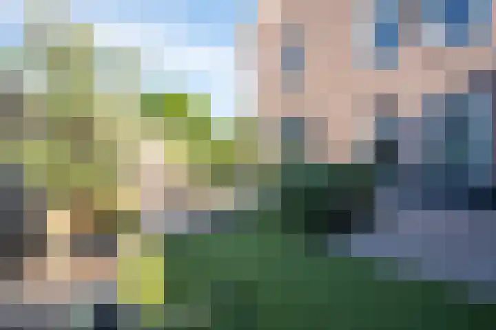 Leeuwerik 5 Meerkerk thumbnail 15