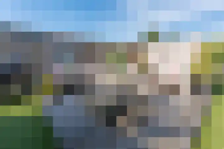 Leeuwerik 5 Meerkerk thumbnail 16