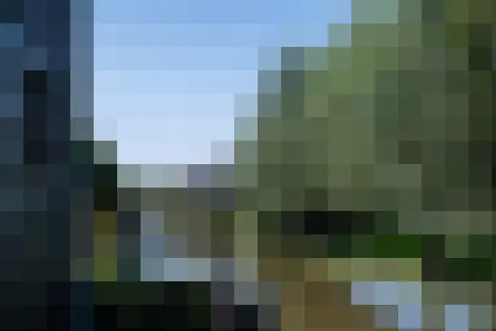 Leeuwerik 5 Meerkerk thumbnail 17