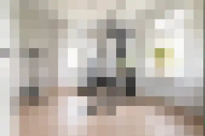 Leeuwerik 5 Meerkerk thumbnail 25