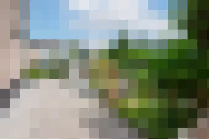 Leeuwerik 5 Meerkerk thumbnail 29