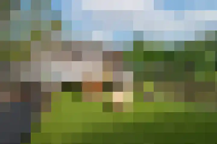 Leeuwerik 5 Meerkerk thumbnail 30