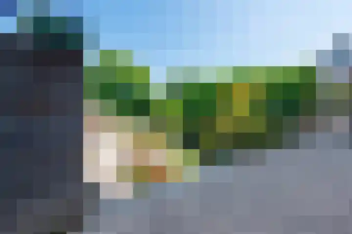 Leeuwerik 5 Meerkerk thumbnail 31