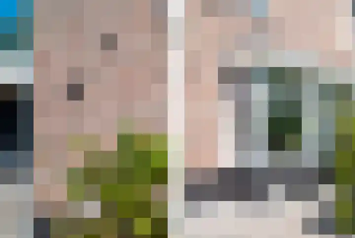 Leeuwerik 5 Meerkerk thumbnail 34