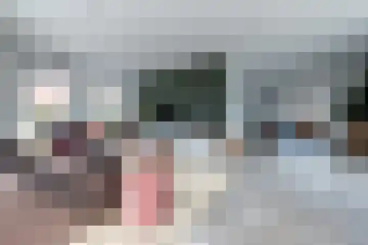 Leeuwerik 5 Meerkerk thumbnail 7
