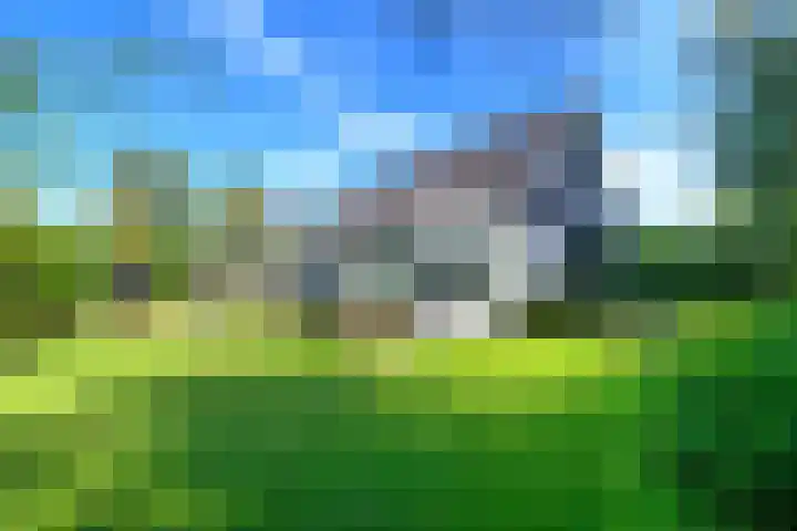 Leeuwerik 6 in Bodegraven