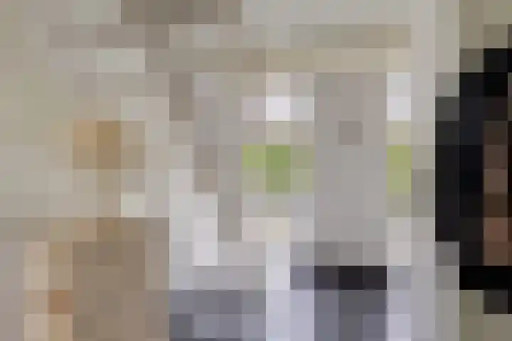 Leeuwerik 6 Bodegraven thumbnail 10