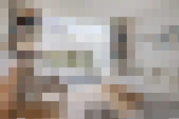 Leeuwerik 6 Bodegraven thumbnail 14