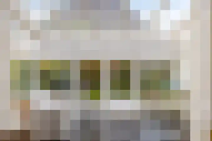 Leeuwerik 6 Bodegraven thumbnail 16