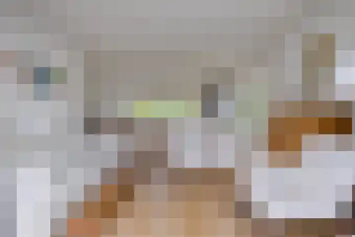 Leeuwerik 6 Bodegraven thumbnail 19