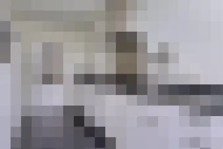 Leeuwerik 6 Bodegraven thumbnail 23