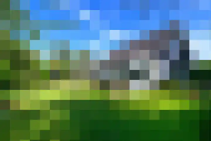 Leeuwerik 6 Bodegraven thumbnail 28