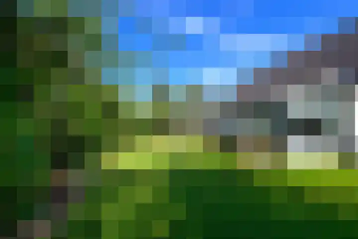 Leeuwerik 6 Bodegraven thumbnail 29
