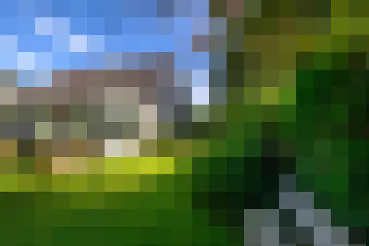 Leeuwerik 6 Bodegraven thumbnail 30