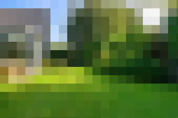 Leeuwerik 6 Bodegraven thumbnail 31