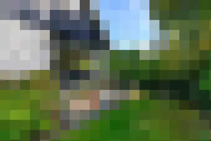 Leeuwerik 6 Bodegraven thumbnail 32