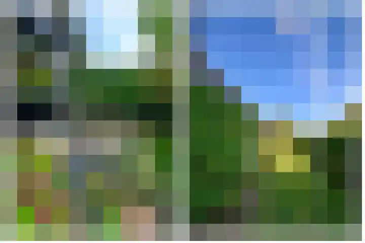 Leeuwerik 6 Bodegraven thumbnail 33